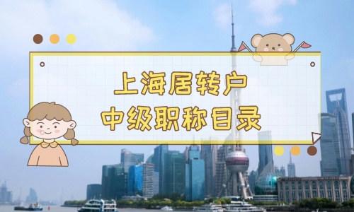 上海居转户中级职称目录